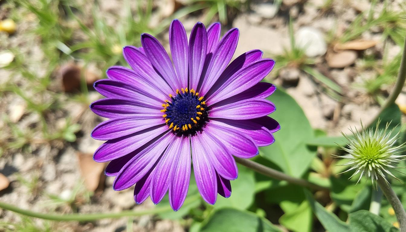 découvrez nos conseils pour choisir la meilleure table de ping-pong extérieure adaptée à votre jardin, alliant durabilité, qualité et plaisir de jeu en plein air.