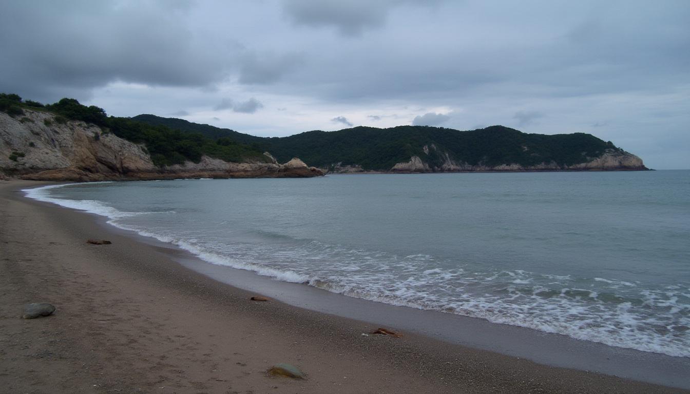 découvrez le tens 2 eco, son fonctionnement efficace et les avantages qu'il offre pour soulager la douleur de manière naturelle et économique.