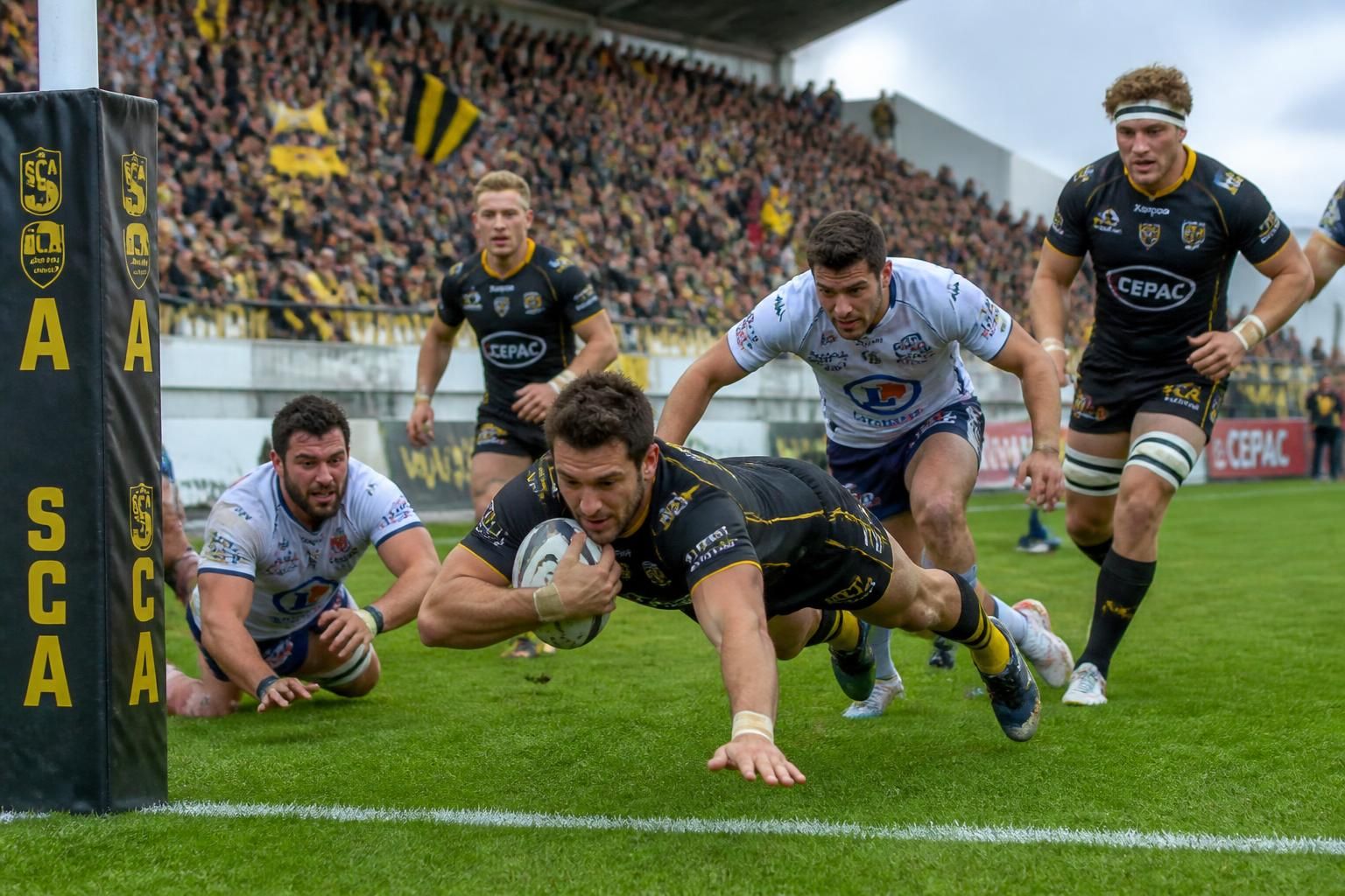 découvrez les résultats de la fédérale 3 de rugby avec un résumé détaillé et une analyse approfondie des derniers matchs pour ne rien manquer de cette compétition.