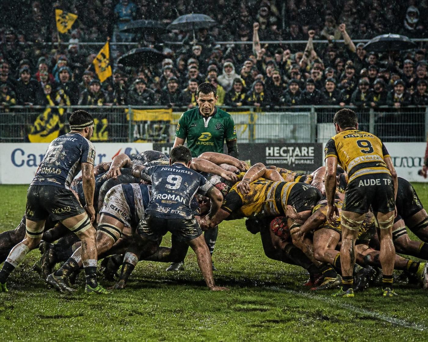 découvrez l'analyse complète des derniers matchs de rugby fédérale ainsi que les classements actuels pour suivre l'évolution des équipes et performances.